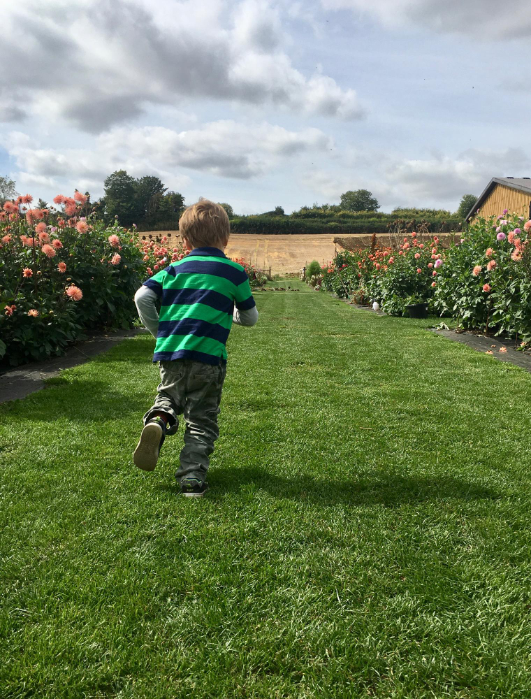 Onde comprar grama sintética para quintal em São Paulo