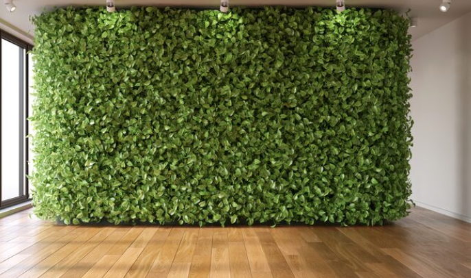 Economia e praticidade: por que a grama sintética para parede é um ótimo investimento
